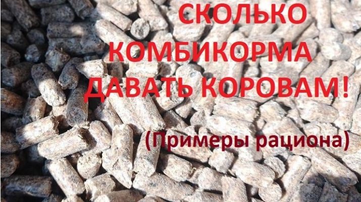 Комбикорм коровам. Нормы. Какой производитель лучше. Примеры реальных рационов по весу и удою